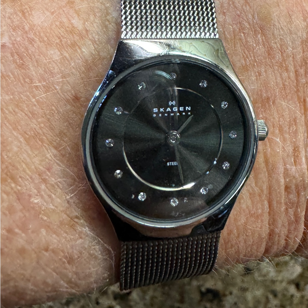 Skagen Watch 39$